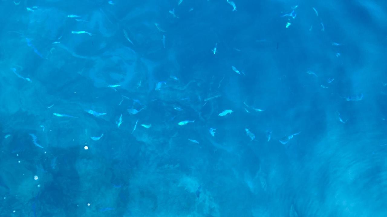 Muraka Inn Thoddoo Εξωτερικό φωτογραφία